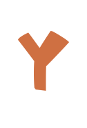 Y